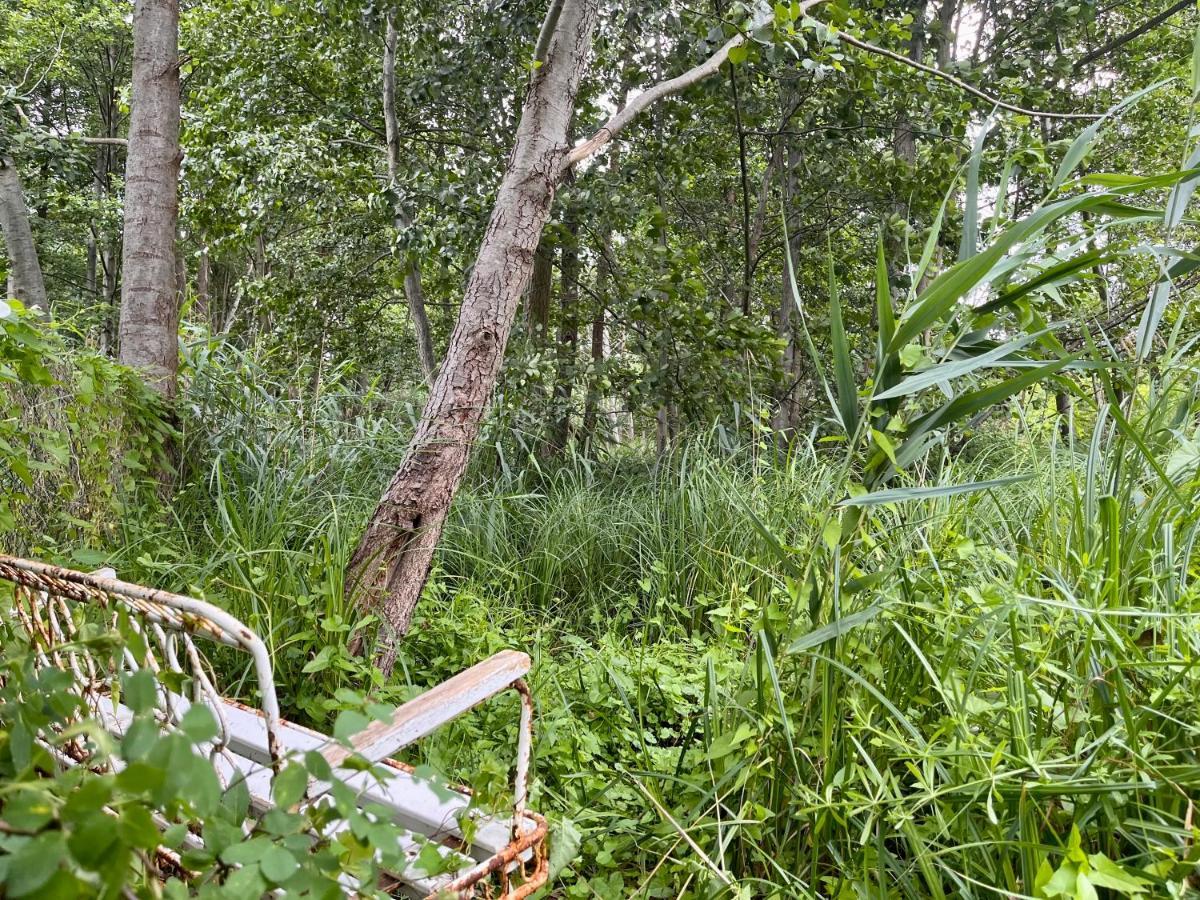 Вилла Haeuschen In Den Erlen Eberswalde Экстерьер фото